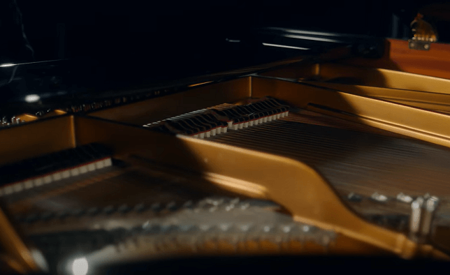 Professionele pianist op de piano - Gabriel Meyer over de Master Line Source 3 van Piega (1)